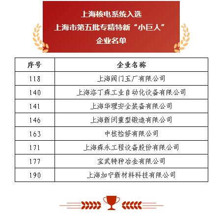上海閥門五廠 以突破性閥門基礎軟件躋身“小巨人”，砥礪前行無畏創新華章
